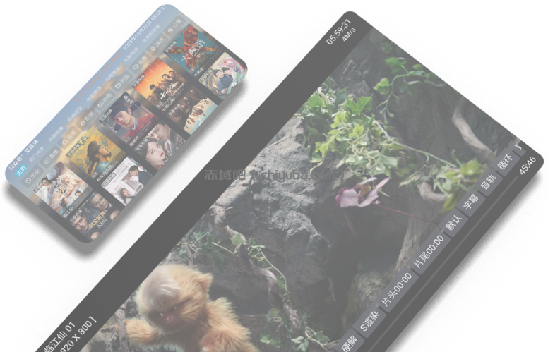 2025最新艾丝沐TV v5.0.41.1 内置45条单仓线路版—— 全网影视免费点播+电视直播，大屏观影极致体验！-IT日志资源网