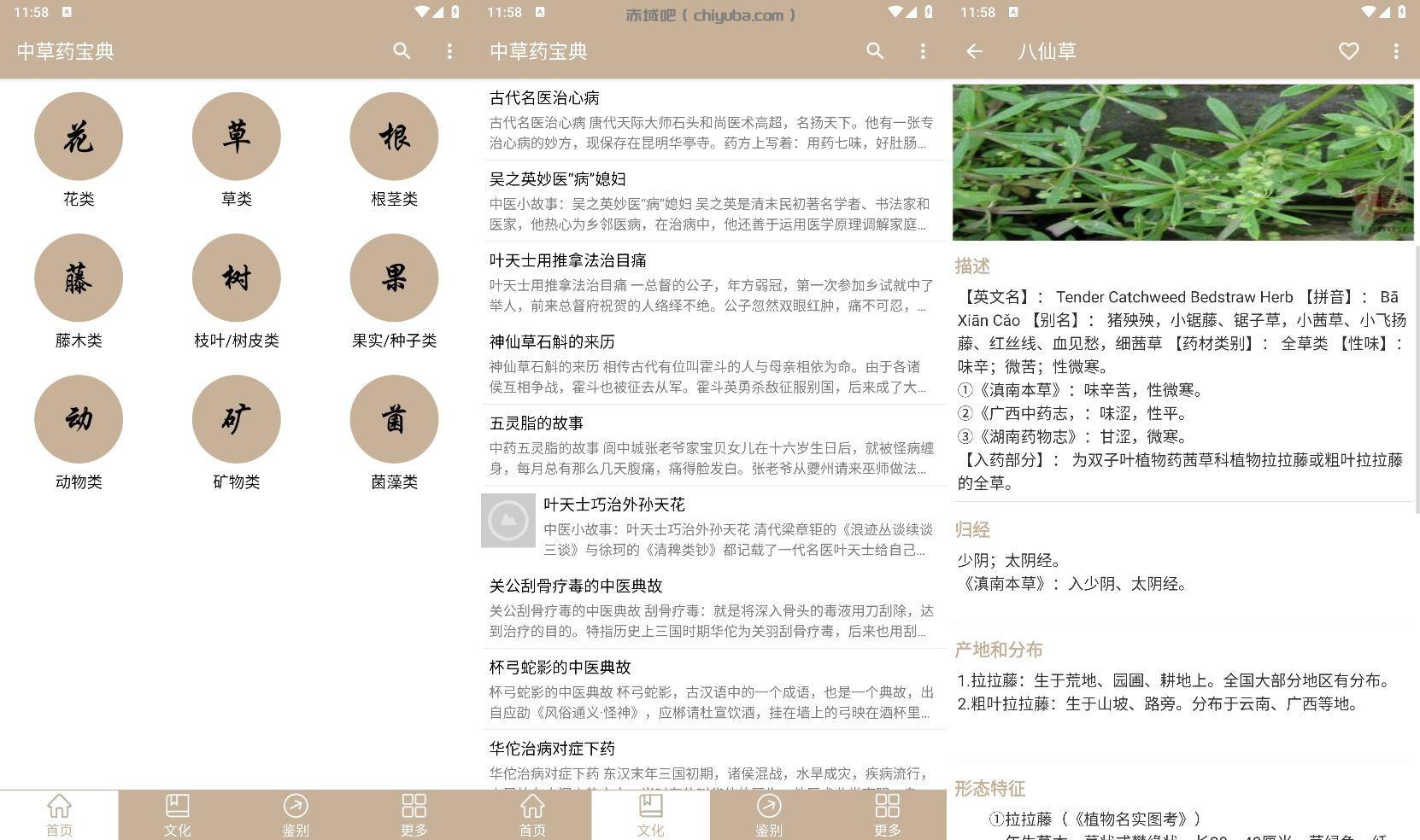 2025最新安卓中草药宝典v2.6.12纯净版-IT日志资源网