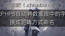 ThinkPHP6自动将数据库中的字段转换成驼峰方式命名