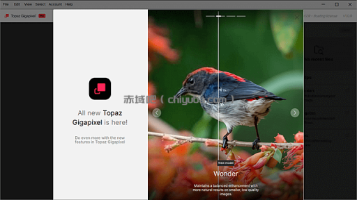 Topaz Gigapixel 图像超分辨率软件