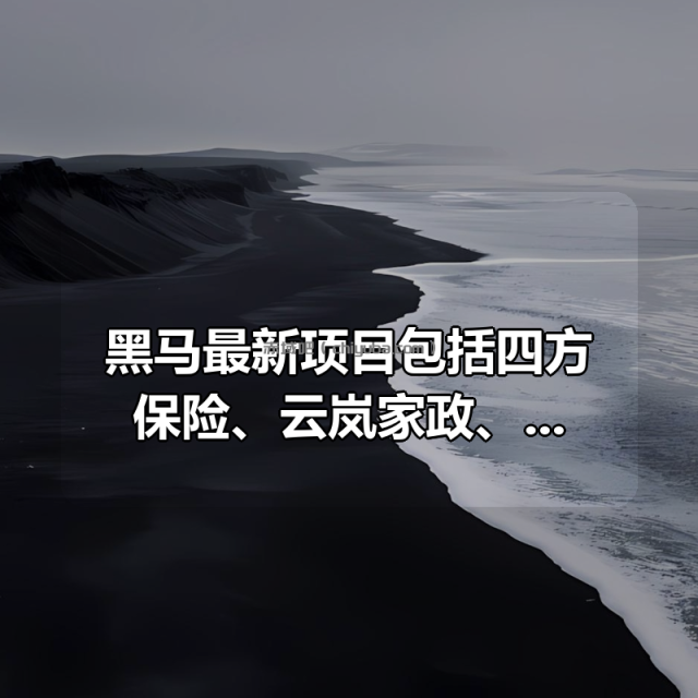 黑马最新项目合集包括四方保险、云岚家政、中州养老，视频资料完整