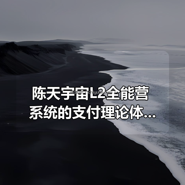 陈天宇宙L2全能营，系统的支付理论体系课