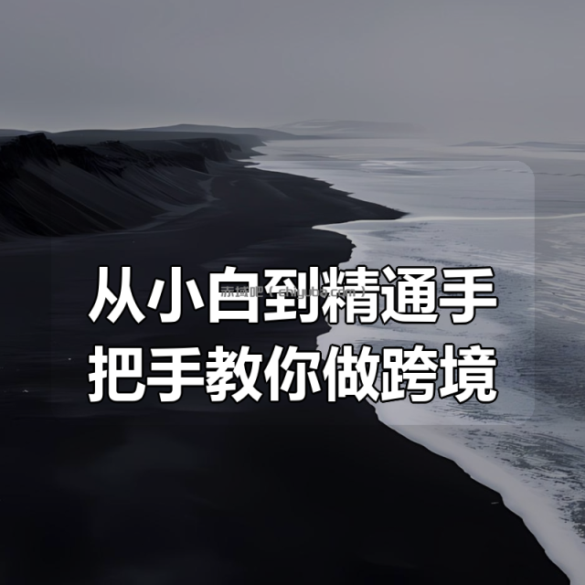 从小白到精通手把手教你做跨境 从小白到精通手把手教你做跨境