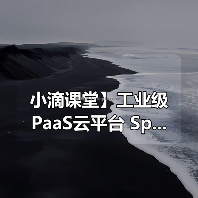 【小滴课堂】工业级PaaS云平台 + SpringCloudAlibaba 综合项目实战