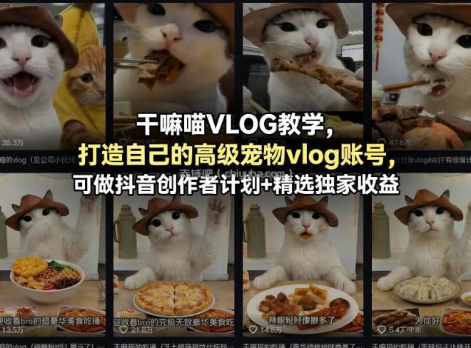 干嘛喵VLOG教学,打造自己的高级宠物vlog账号,可做抖音创作者计划+精选独家收益