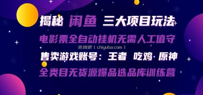 图片[1]-闲鱼三种玩法 全自动电影票 售卖游戏账号 爆品选品库训练营-小创项目网