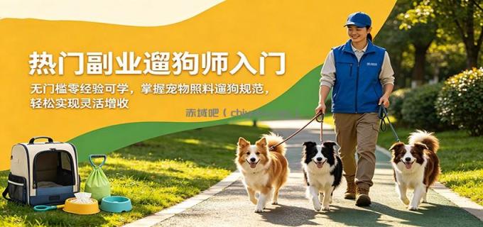 图片[1]-热门副业遛狗师入门，无门槛零经验可学，掌握宠物照料遛狗规范，轻松实现灵活增收-小创项目网
