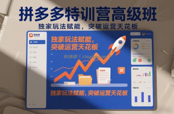 拼多多特训营高阶班，独家玩法赋能，突破运营天花板（更新26年5月01日）