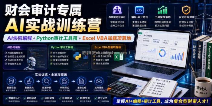 财会审计专属AI实战训练营｜AI协同编程+Python审计工具箱+Excel VBA加载项落地