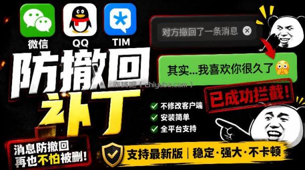 Windows下PC版微信/QQ/TIM的防撤回多开工具!开源免费使用,且免费长期维护RevokeMsgPatcher