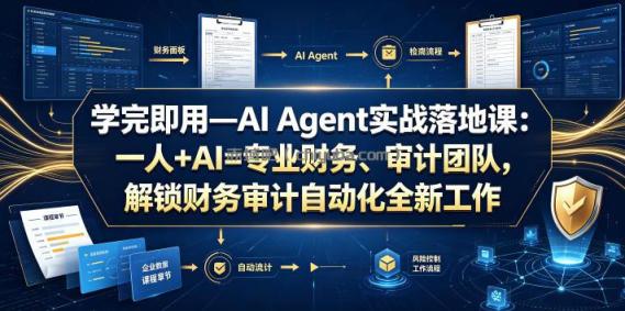 学完即用—AI Agent实战落地课:一人+AI=专业财务、审计团队,解锁财务审计自动化全新工作模式