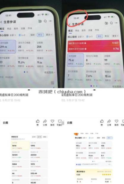 薅流虚拟2.0陪跑课,0成本AI流程化操作,淘宝+闲鱼同步玩法,上一次货两个平台有收益,单店每天200纯利润