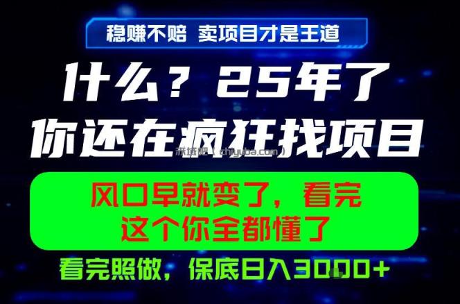 26年,请不要疯狂的找项目做了!卖项目才是真的稳賺不赔,看完照做,保底日入1k+【揭秘】
