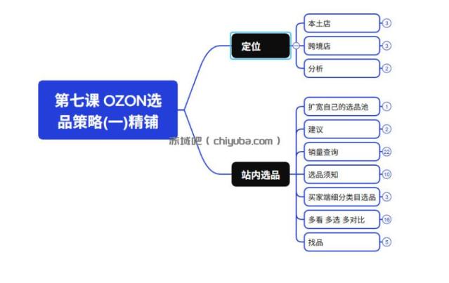 2026最新OZON全流程运营实操跨境电商平台教程,OZON全流程一站式系统学习必修课,从开店到跟卖到精铺