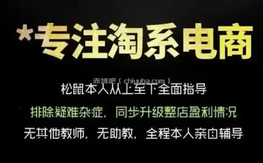 松鼠会电商VIP课程，从基础布局到高阶优化，助你掌握淘宝运营逻辑，提升店铺流量与转化(更新0809)