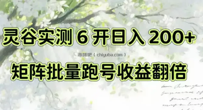 一台电脑就能做!灵谷实测6开日入200+,矩阵批量跑号收益翻倍【揭秘】