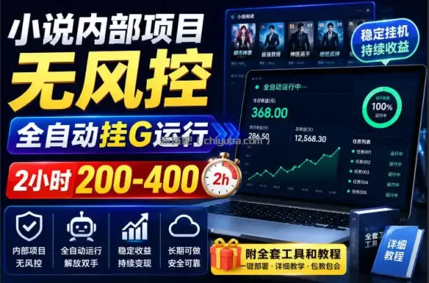 小说内部项目无风控，全自动挂G运行，2小时200-400，附全套工具和教程【揭秘】
