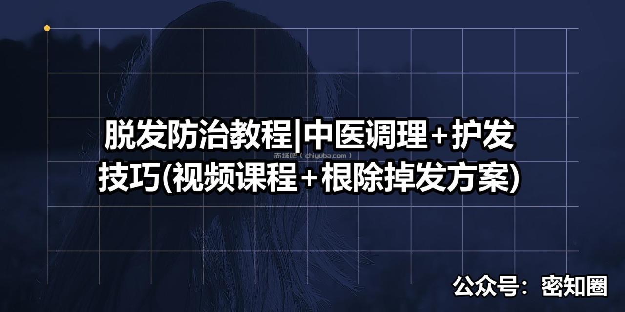 脱发防治教程|中医调理+护发技巧(视频课程+根除掉发方案) 脱发防治教程|中医调理+护发技巧(视频课程+根除掉发方案)