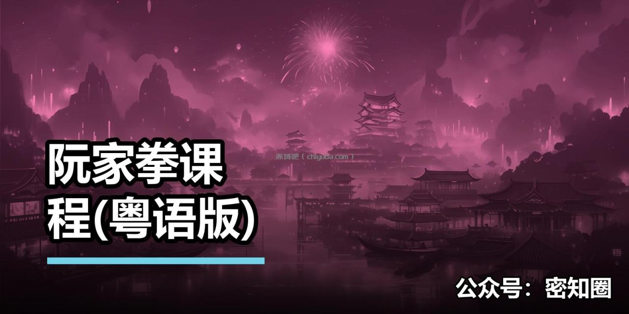 阮家拳课程(粤语版)