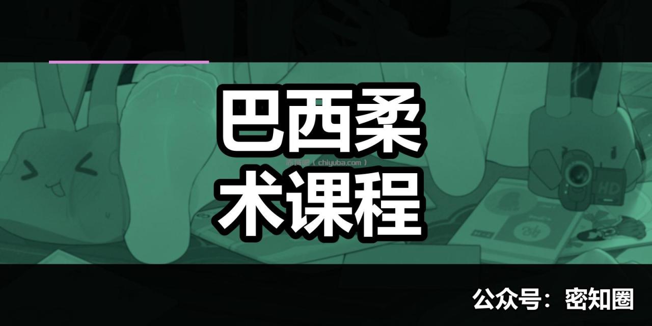 巴西柔术课程