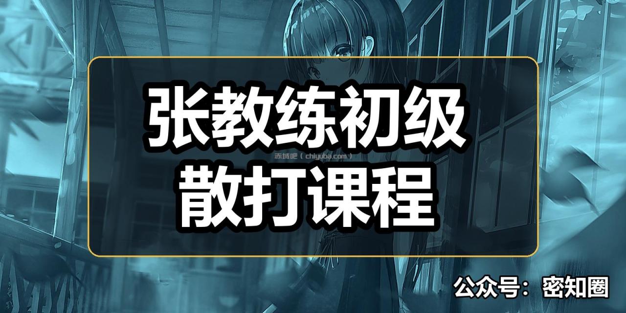 张教练初级散打课程