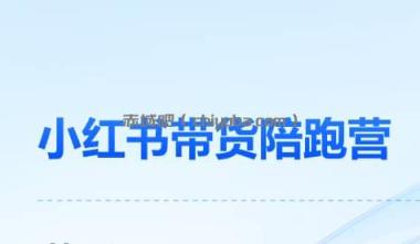 盗坤小红书电商带货陪跑营（第11期）