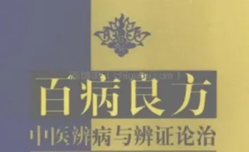 中医辨证施治宝典：百病调理的智慧传承