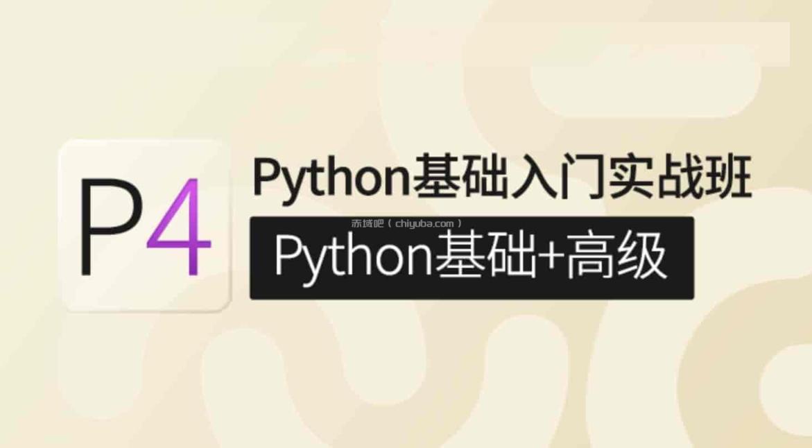 对标P4 Python：基础入门实战