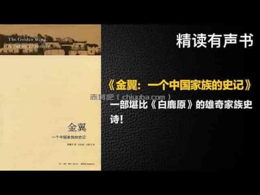 金翼听书解读：家族史诗魅力