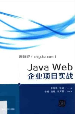 Web企业项目实战：掌握核心开发技能