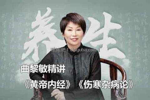 曲黎敏伤寒论中医课：不生病智慧