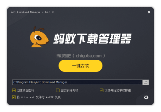 蚂蚁下载器 Ant Download Manager Pro 介绍